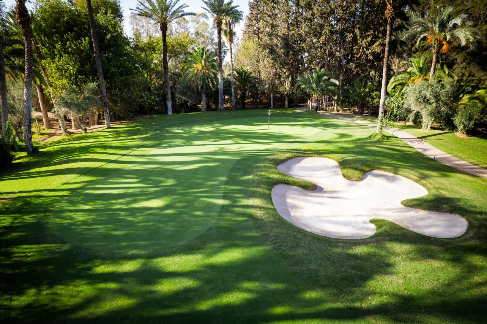 Al Maaden Golf: Where Art Meets Sport