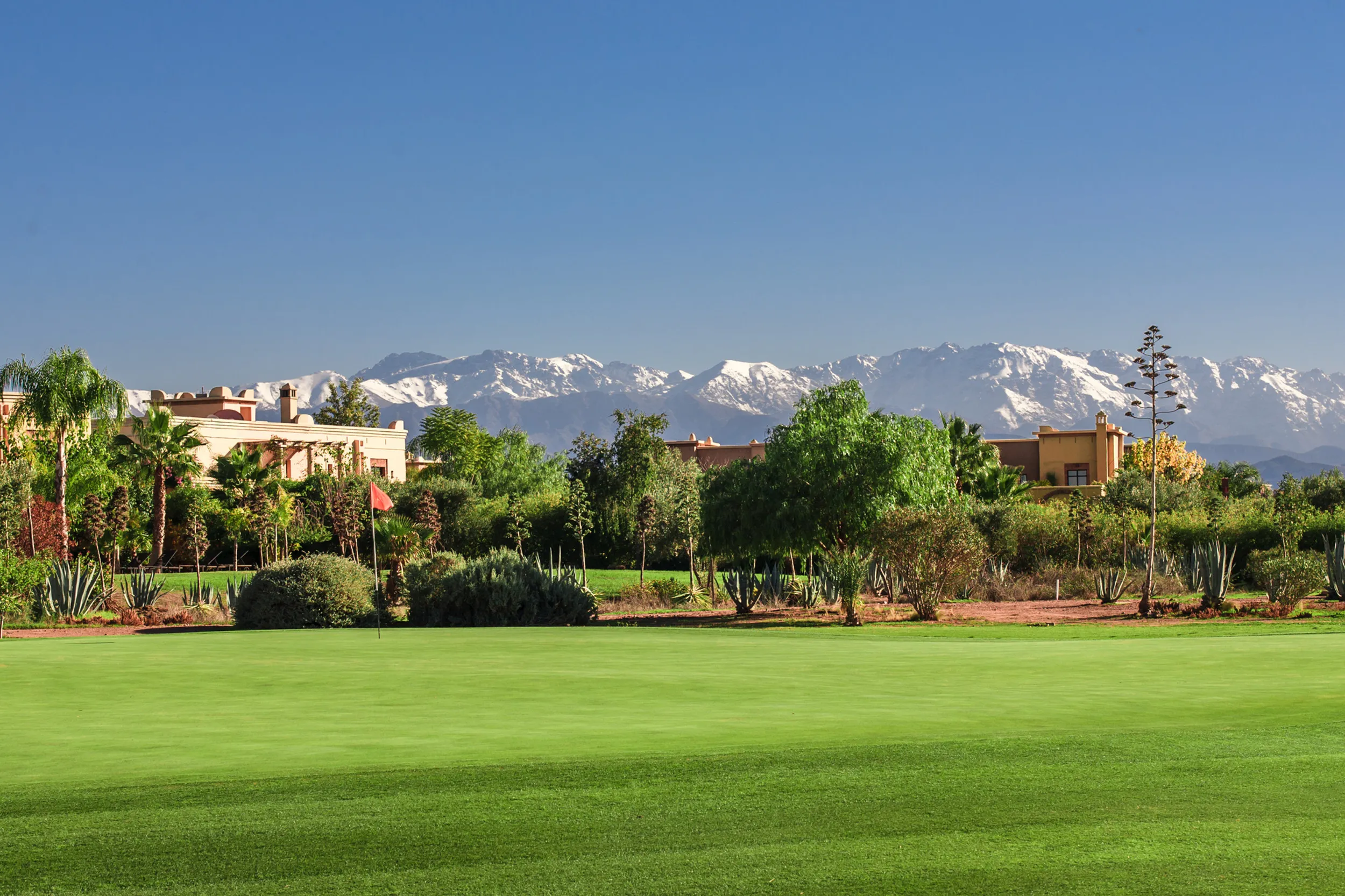 Samanah Golf Club: The Nicklaus Design Challenge