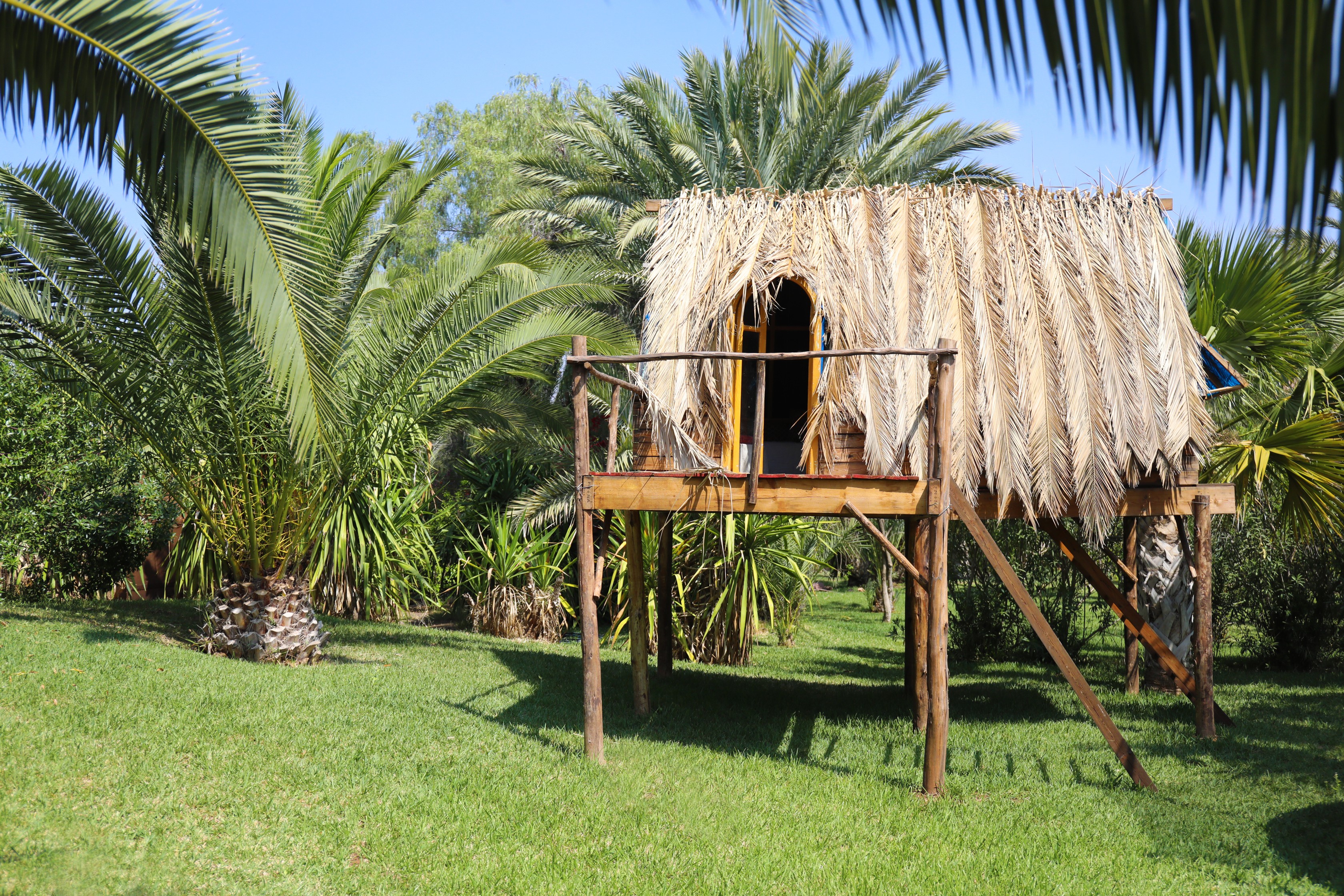 Villa de standing, Palmeraie