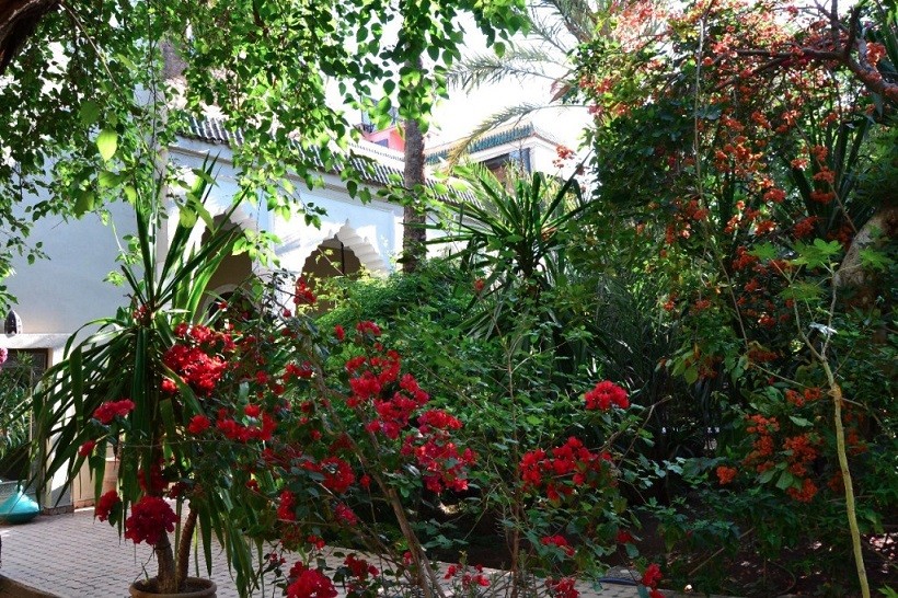 Riad, Medina area